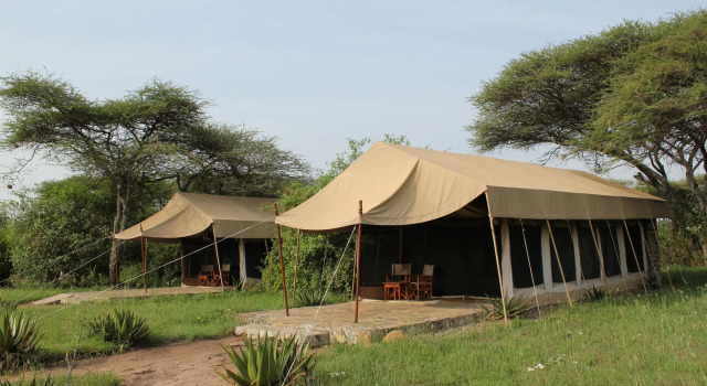 Mapito Tented Camp, Забронировать Отель Отели Серенгети 3 звезды, 3*