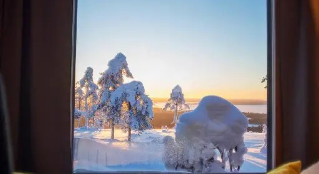 Люкс Arctic Giant