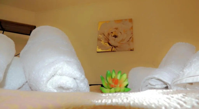 Апартаменты Le COSY Toulouse 3 min de la Gare à pieds Parking gratuit calme