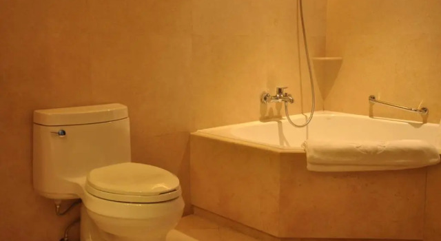 Двухместный клубный номер Executive Shenzhen Sunshine Hotel, Luohu