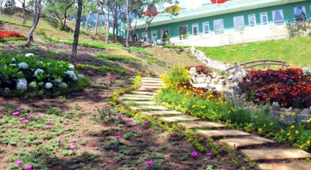 Номер Standard Rung Hoa Hotel