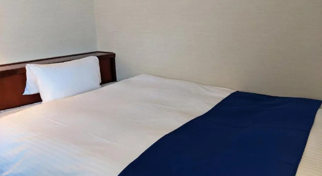Номер Standard Ichinomiya City Hotel