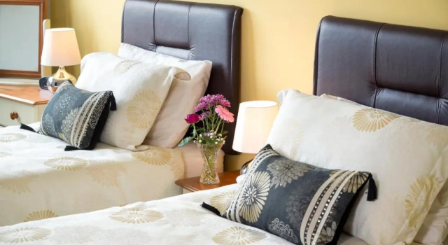 Meadow View Bed  Breakfast