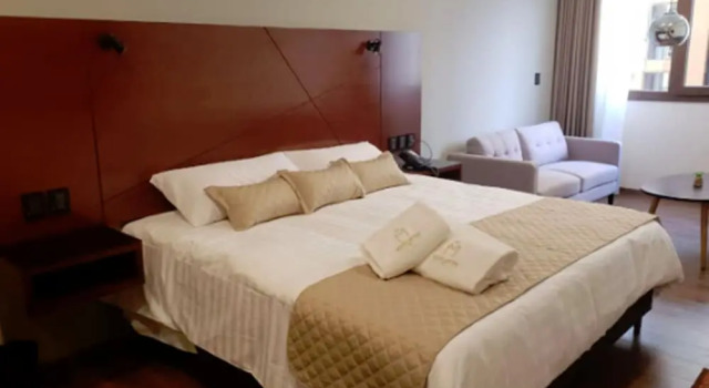 Номер Superior Hotel Mitru Sur
