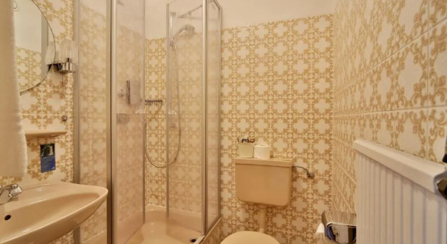 Одноместный номер Standard Landidyll Wilminks Parkhotel