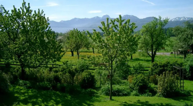 Zum Bauern, Reserva ahora Hotel Bad Aibling Chiemgau