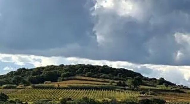 Domaine de Peilhan