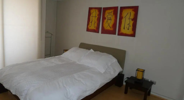 Апартаменты c 1 комнатой с видом на город Chilean Suites Providencia