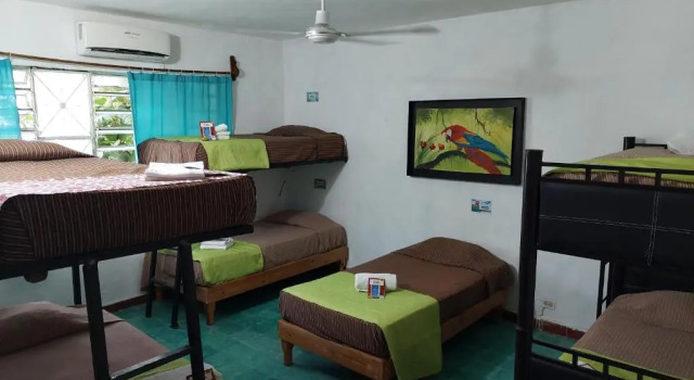 Кровать в общем номере (женский номер) Guacamayas Hostel and Social Laundry