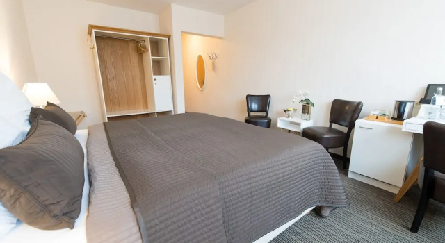 Одноместный номер Standard Hotel-Restaurant Thüringer Hof