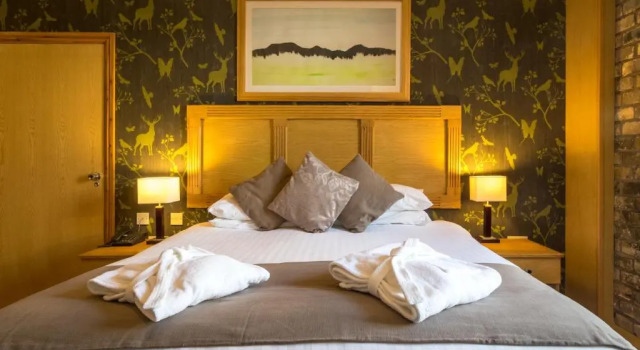 Двухместный номер Deluxe Washington Central Hotel and Sleepwell Inn