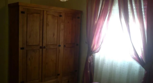 Apartment in Malaga 100580