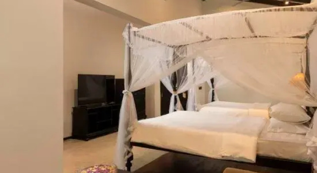 Люкс Presidential Ayugiri Ayurveda Wellness Resort Sigiriya