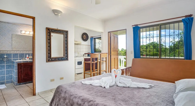 Апартаменты c 1 комнатой с балконом Guacamaya Lodge