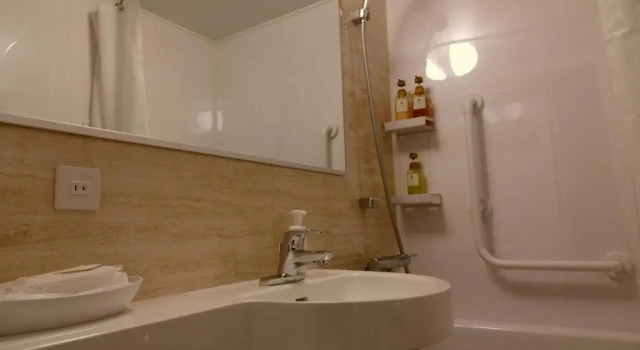 Одноместный номер Standard Ueno First City Hotel