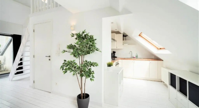 Beautiful Cozy Apartments in the Heart of Antwerp, Забронировать Апартаменты/квартира Апартаменты Антверпена, рядом с House of Literature, Апартаменты/квартира