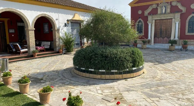 Коттедж Casa de Campo con Piscina en Sevilla en los Palacios y Villafranca