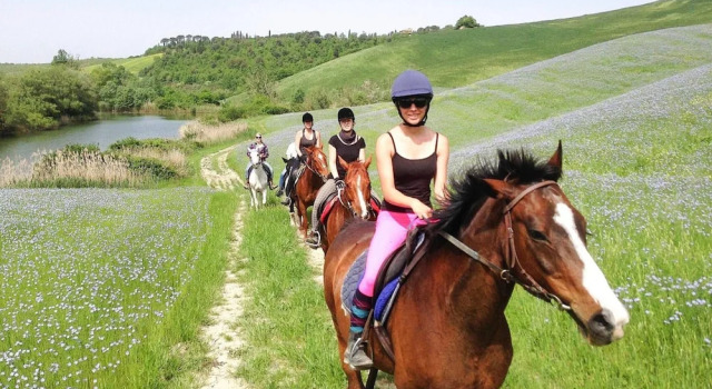 Апартаменты Fattoria Bio Pieve a Salti, Montalcino