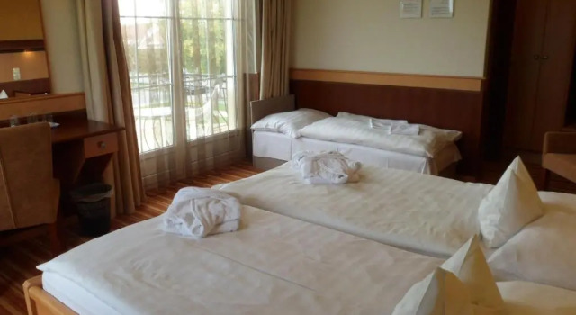 Двухместный номер Standard Xavin Wellness Hotel & Restaurant