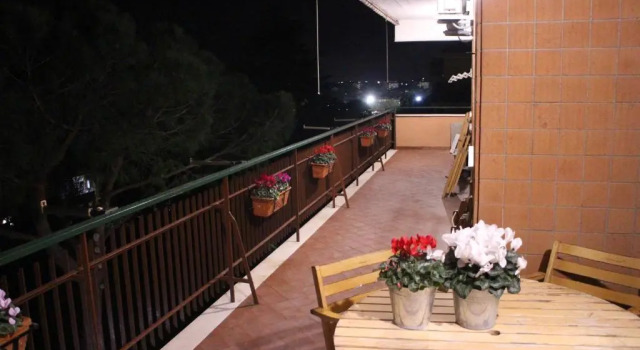 Lejlighed Green view apartment