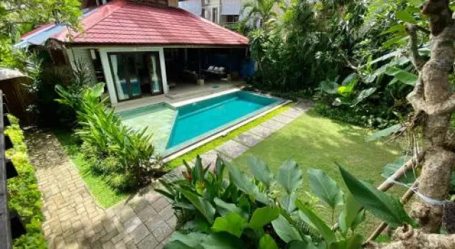 Little Tree House, Rezerwuj Hotel Tanie hotele w Denpasar Municipality