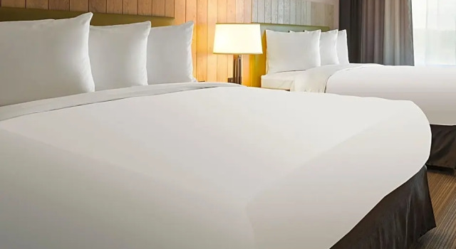 Четырёхместный номер Standard Country Inn & Suites by Radisson, Louisville South, KY