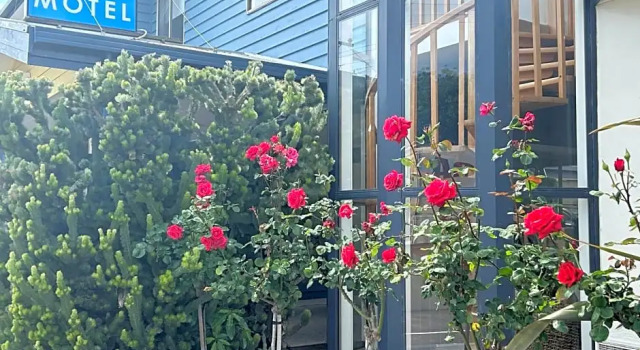 Семейная студия Portarlington Beach Motel