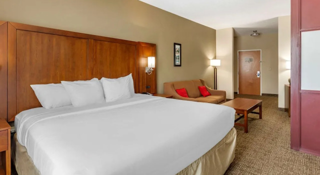 Двухместный люкс Comfort Suites Clayton - Garner