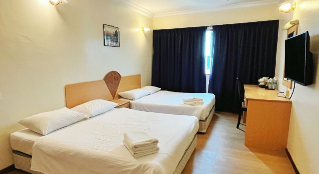 Şehir manzaralı 1 yatak odası Süper dört kişilik oda Fair Park Hotel
