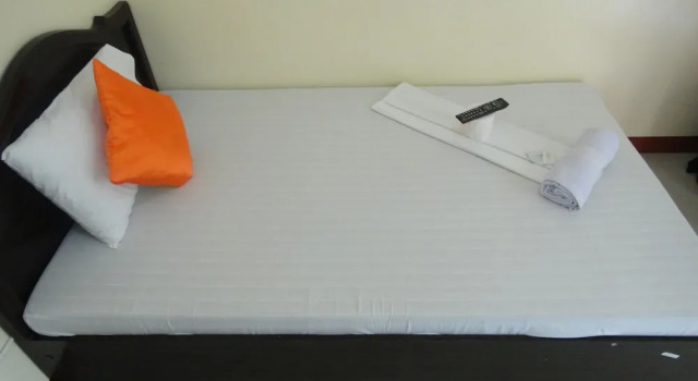 Одноместный номер Standard Amerson Pension Place - Hostel