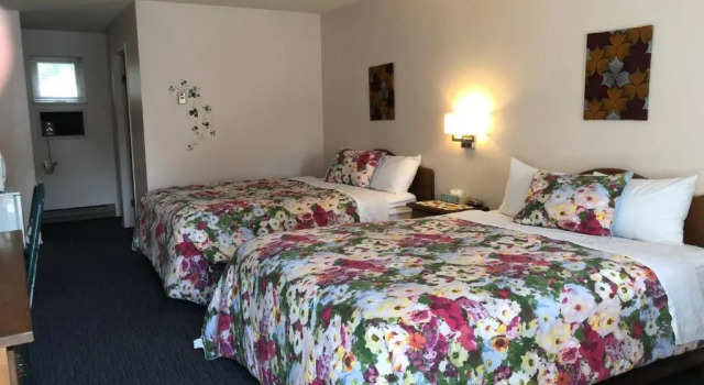 Четырёхместный номер Standard Chase Country Inn