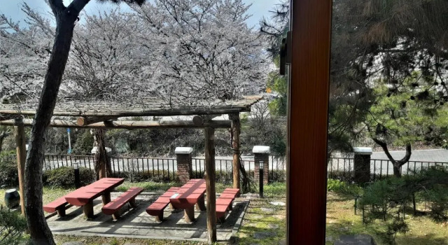 Номер Standard Hotel Jirisan Haetsal