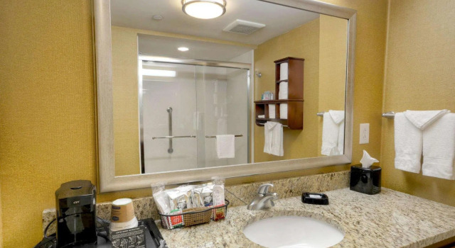 Двухместный люкс Hampton Inn & Suites Tifton