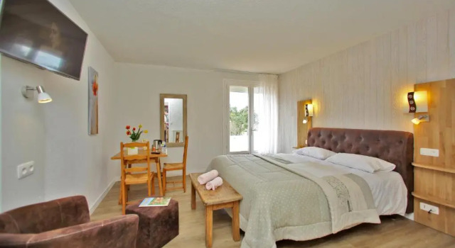 Двухместный номер Standard Logis Hotel Le Tropicana