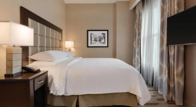 Одноместный люкс Embassy Suites by Hilton Tuscaloosa Alabama Downtown