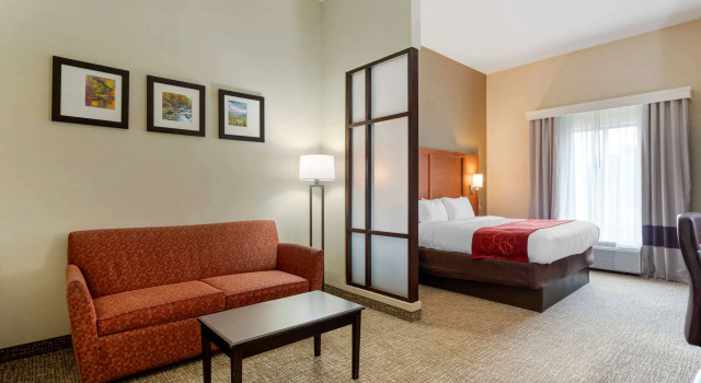 Двухместный люкс Comfort Suites Kingsport South