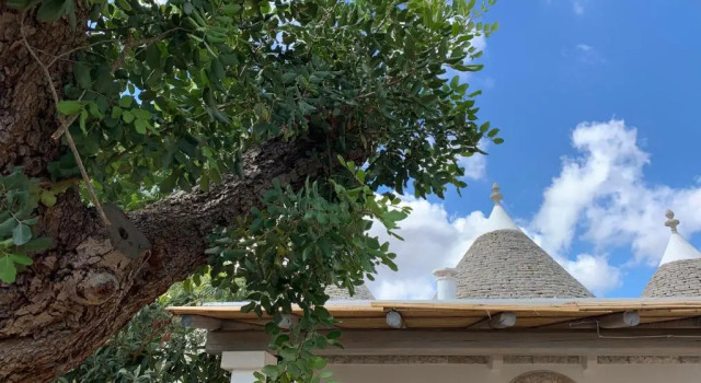 Trullo Labellavita, Book Hotel Hoteller og overnatningssteder i Putignano, Hotel