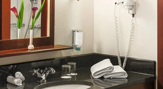 Номер Deluxe Steigenberger Hotel Deidesheim