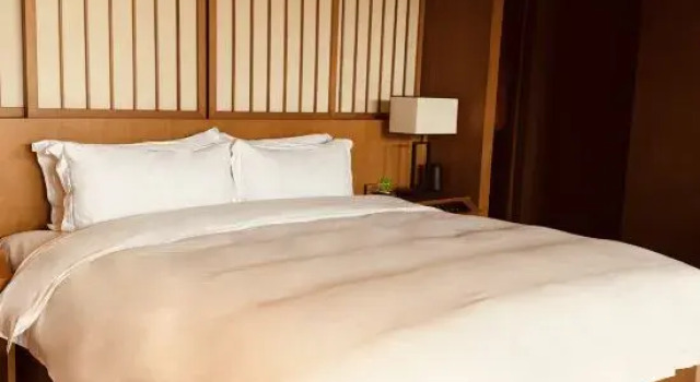 Люкс Chengdu Shiyue Forest Hotel