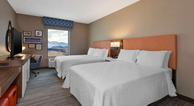 Номер Standard Hampton Inn & Suites Wells, Nv
