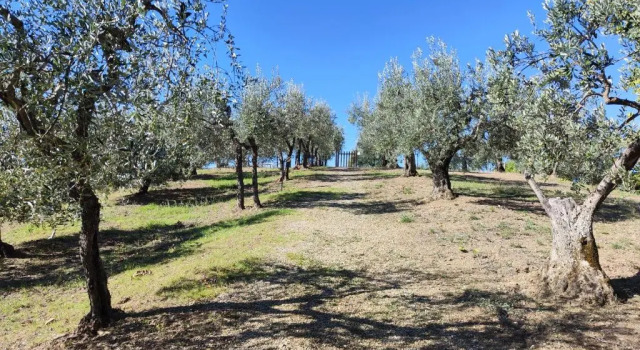 Вилла Agriturismo Sommassa