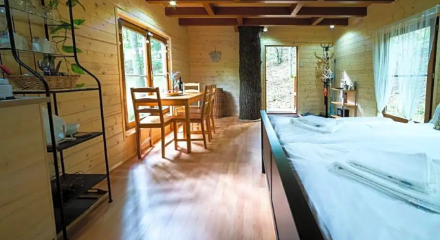 Treehouse Zlatá Koruna, Prenota Hotel Zlatá Koruna Boemia meridionale