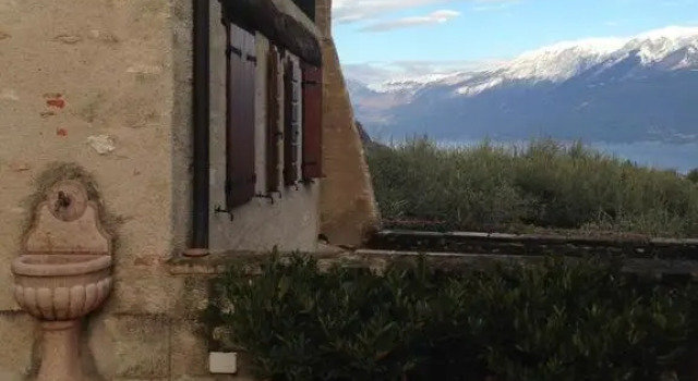 Albergo CAVALLINO 10