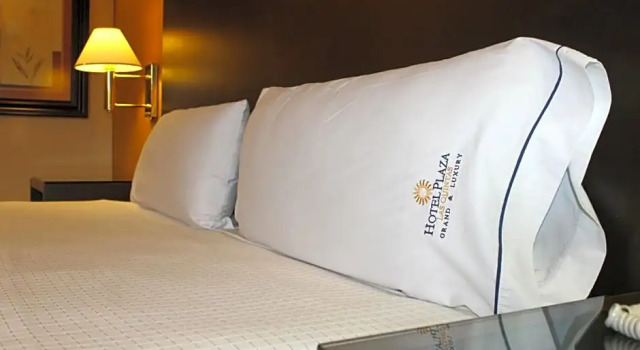 Номер Standard Hotel Plaza las Quintas