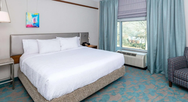 Двухместный полулюкс Hilton Garden Inn Asheville Downtown