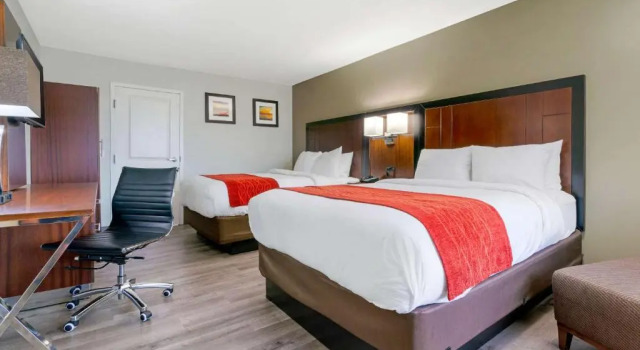 Четырёхместный номер Standard Antioch Inn and Suites