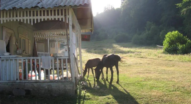 Hlebna Bungalows, Reserva ahora Hotel Rila Monastery Kyustendil