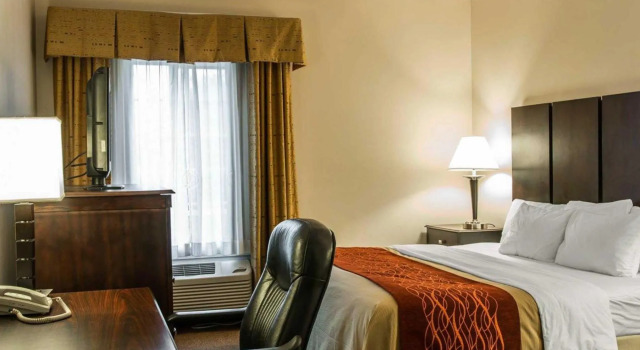 Номер Standard Comfort Inn & Suites Fenton