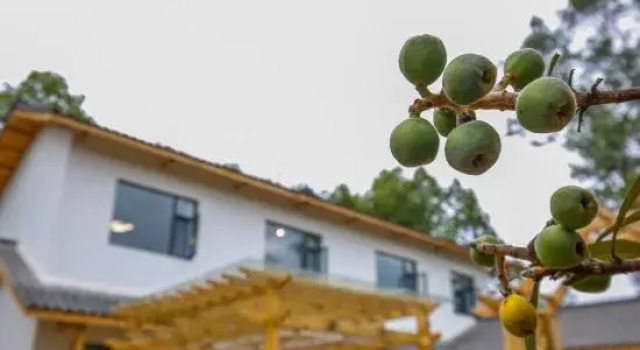 Mianyang orange courtyard home stay, Prenota Hotel Hotel a Mianyang con parcheggio, Parcheggio