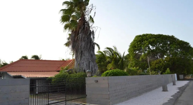 Апартаменты Deluxe с красивым видом из окна Palm Trees Apartments